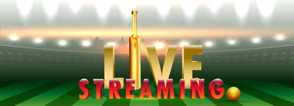 3D текст Live Streaming з кажаном і м'ячем на нічному стадіоні вид b — стоковий вектор