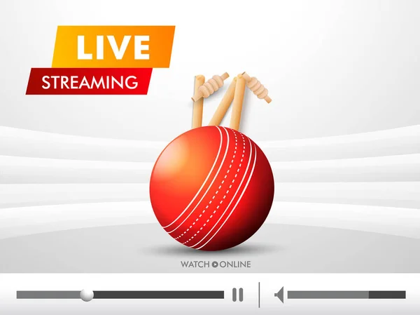 Live Streaming reproducción de vídeo ilustración con pelota de cricket y stu — Archivo Imágenes Vectoriales