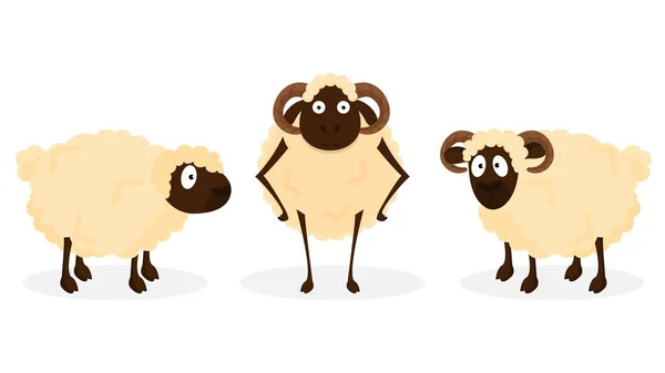 Conjunto de carácter animal de oveja de pie sobre fondo blanco . — Vector de stock