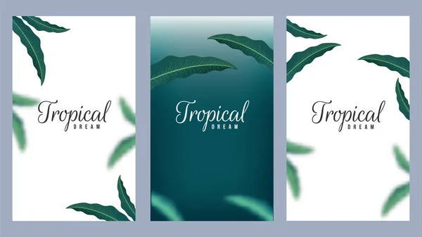 Conjunto de design de modelo de sonho tropical decorado folhas naturais o — Vetor de Stock
