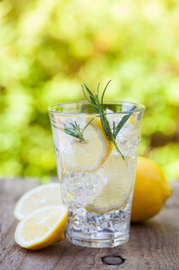 serinletici limonata içecek gözlük rosemary ile