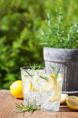 serinletici limonata içecek gözlük rosemary ile