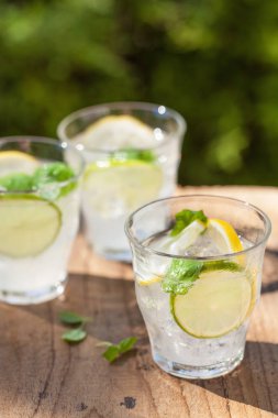 Nane limon limon bahçesinde ferahlatıcı limonata içmek