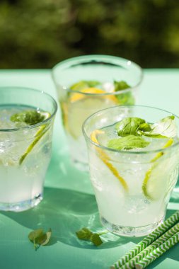 Nane limon limon bahçesinde ferahlatıcı limonata içmek