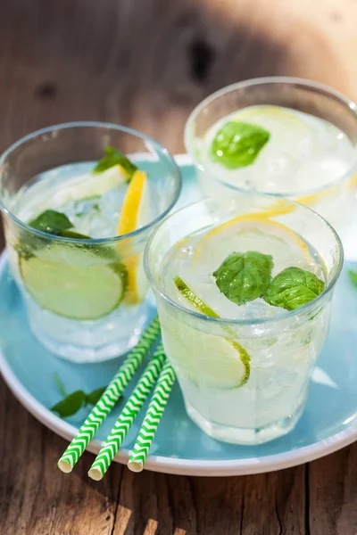 Refreshing Lemonade Drink Mint Lime Lemon Garden — Stock Photo, Image