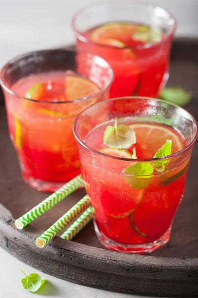 Watermelon Lemonade Lime Mint Summer Refreshing Drink — Stock Photo, Image