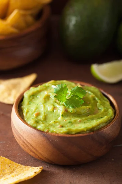 Mexikói Guacamole Dip Nachos Tortilla Chips Szel — Stock Fotó