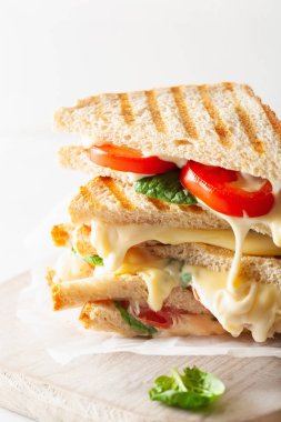 Beyaz arka plan üzerinde ızgara peynir ve domates sandviç