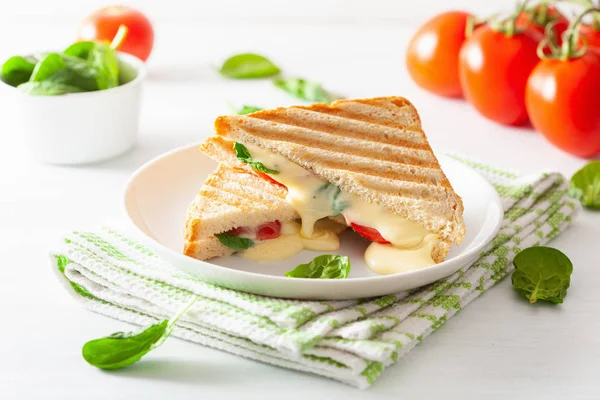 Grilled Cheese Tomato Sandwich White Background — Stock Photo, Image