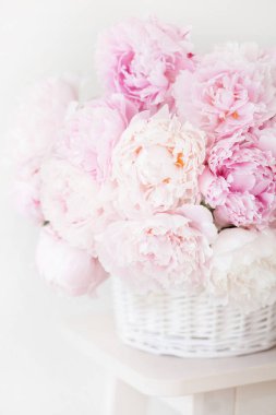 Vazoda güzel pembe şakayık çiçekleri.