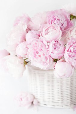 Vazoda güzel pembe şakayık çiçekleri.