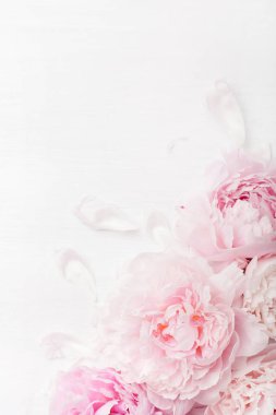 Güzel pembe şakayık çiçeği arka planı