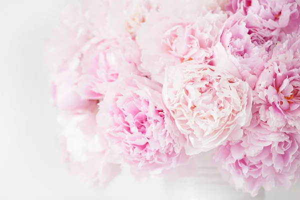 Bello Rosa Peonia Fiore Sfondo — Foto Stock