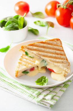 Beyaz arka plan üzerinde ızgara peynir ve domates sandviç