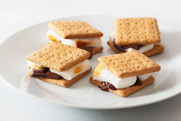 Zelfgemaakte Marshmallow Mores Met Chocolade Crackers — Stockfoto