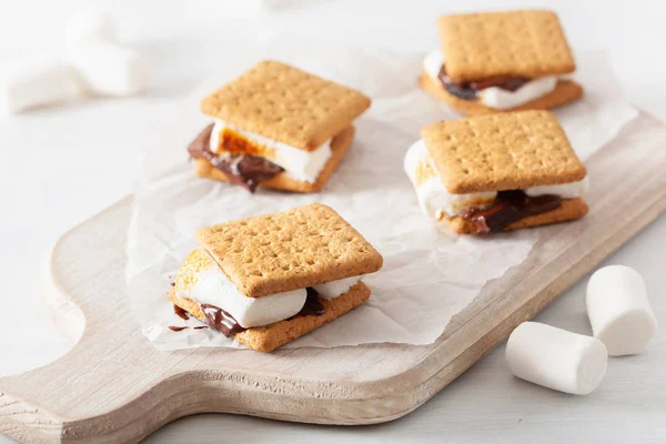 Zelfgemaakte Marshmallow Mores Met Chocolade Crackers — Stockfoto