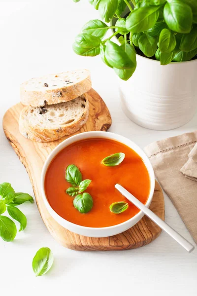 Sopa Tomate Backgorund Branco — Fotografia de Stock