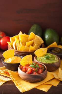 Meksika Nacho tortilla cips Guakamole, salsa ve peynir sos ile