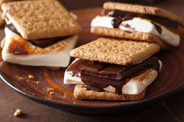 Marshmallow Fatti Casa Mores Con Cioccolato Sui Cracker — Foto Stock