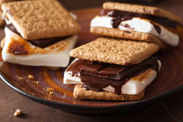 Marshmallow Mores Maison Avec Chocolat Sur Craquelins — Photo