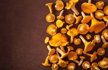 ham taze Cantharellus cibarius mantar düz koyu arka plan üzerinde yatıyordu