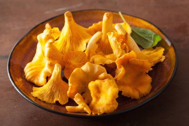 koyu arka plan üzerinde ham taze Cantharellus cibarius mantar