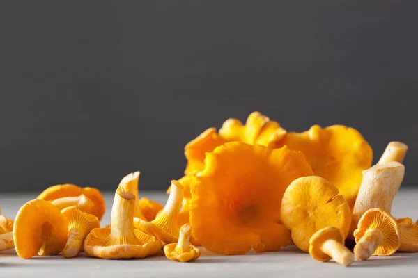 Champiñones Chanterelle Frescos Crudos Sobre Fondo Gris — Foto de Stock