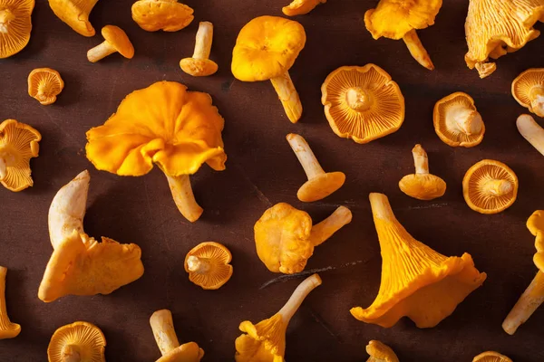 Rauwe Verse Hanenkam Paddestoelen Plat Lag Donkere Achtergrond — Stockfoto