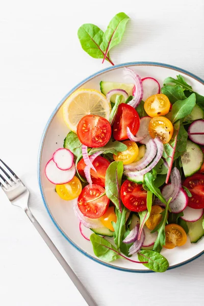 Ensalada Tomate Vegano Colorido Saludable Con Pepino Rábano Cebolla — Foto de Stock