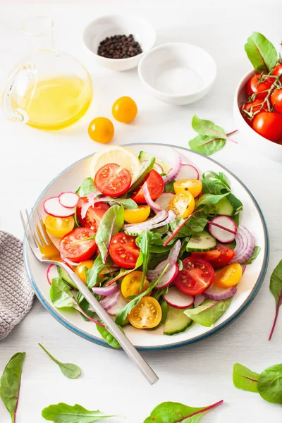 Ensalada Tomate Vegano Colorido Saludable Con Pepino Rábano Cebolla — Foto de Stock