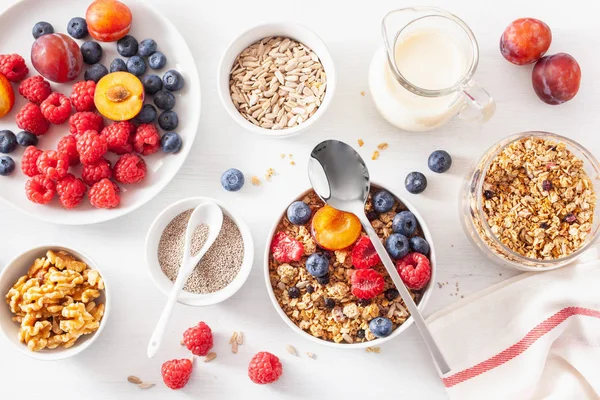 Gesundes Müsli Zum Frühstück Mit Beerenfrüchten Veganer Milch — Stockfoto