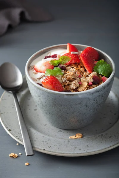 Granola Yaourt Aux Graines Fraise Pour Petit Déjeuner — Photo