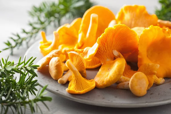 Rauwe Verse Hanenkam Paddestoelen Grijze Achtergrond — Stockfoto