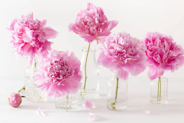 Schöne Rosa Pfingstrose Blumenstrauß Der Vase — Stockfoto