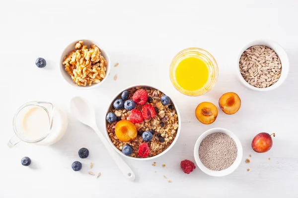 Gesundes Müsli Zum Frühstück Mit Beerenfrüchten Veganer Milch — Stockfoto