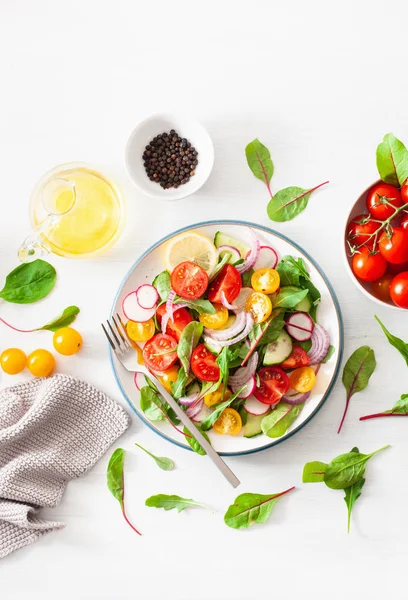 カラフルな菜食主義者の健康的なトマトのサラダ キュウリ 玉ねぎ — ストック写真
