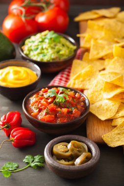 Meksika Nacho tortilla cips Guakamole, salsa ve peynir sos ile