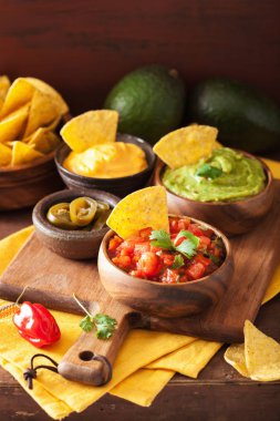 Meksika Nacho tortilla cips Guakamole, salsa ve peynir sos ile