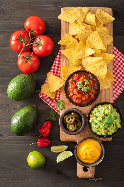 Tortillas Nachos Mexicanos Con Guacamole Salsa Salsa Queso — Foto de Stock