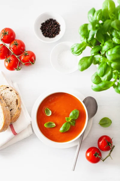 Sopa Tomate Plana Colocar Backgorund Branco — Fotografia de Stock