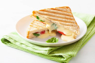 Beyaz arka plan üzerinde ızgara peynir ve domates sandviç