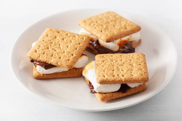 homemade marshmallow s\'mores with chocolate on crackers