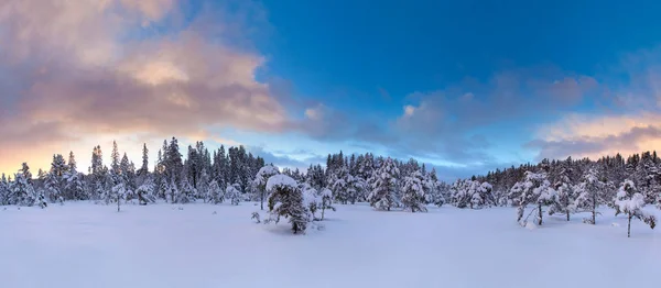 Hermoso Paisaje Invierno Árbol Nieve —  Fotos de Stock