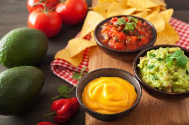 Meksika Nacho tortilla cips Guakamole, salsa ve peynir sos ile