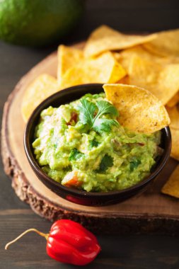 Meksika guacamole daldırma ve cips tortilla cips
