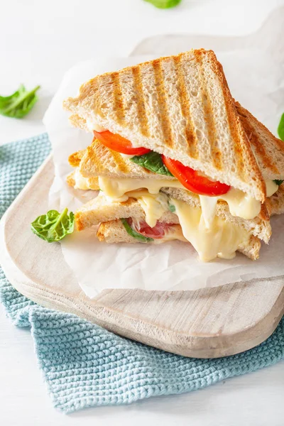 Grillezett Sajt Paradicsom Sandwich Fehér Háttér — Stock Fotó