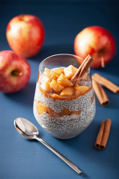 Chia Pudding Med Sjuden Kaneläpplen Och Jordnötssmör — Stockfoto