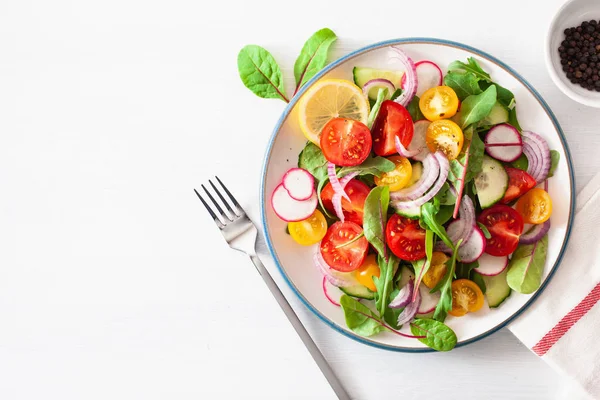 Ensalada Tomate Vegano Colorido Saludable Con Pepino Rábano Cebolla — Foto de Stock