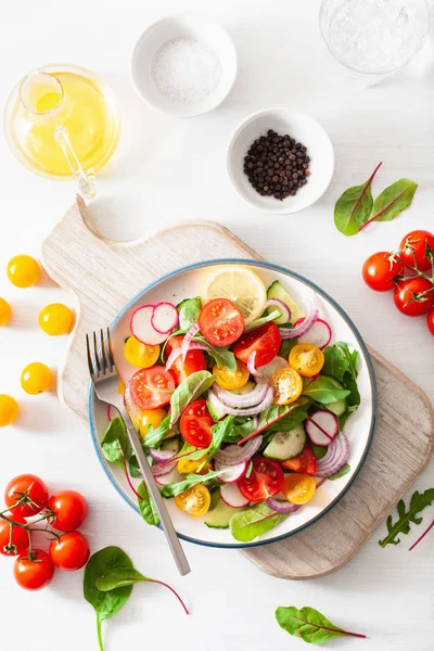 Gesunder Bunter Veganer Tomatensalat Mit Gurken Rettich Zwiebeln — Stockfoto