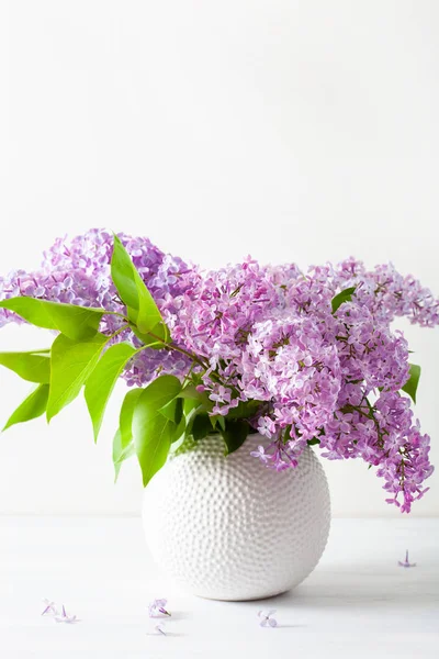 Красиві Бузкові Квіти Вазі Білому Тлі — стокове фото